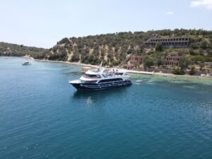 Dikili Tekne Turu - Güven Tur - Güven Tur 1